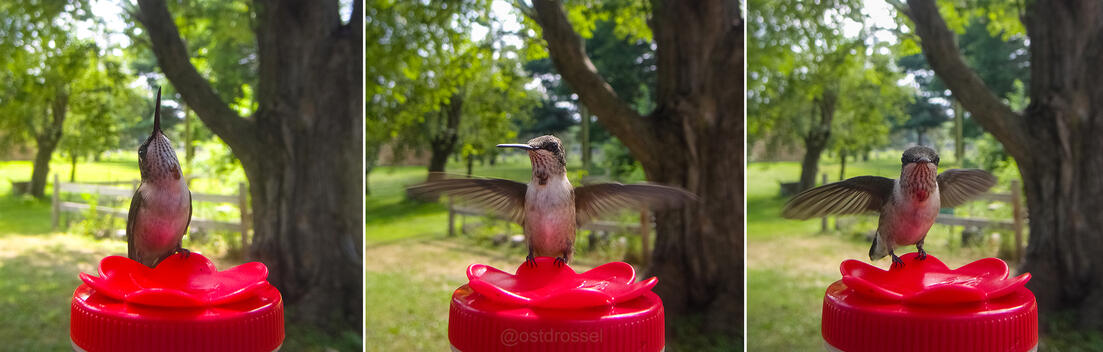 Click to go to calendar shop